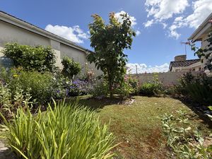 Front Garden- click for photo gallery